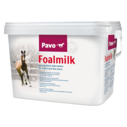 Pavo Foal Milk